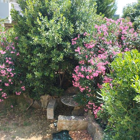 شقة Miran Ivanica المظهر الخارجي الصورة