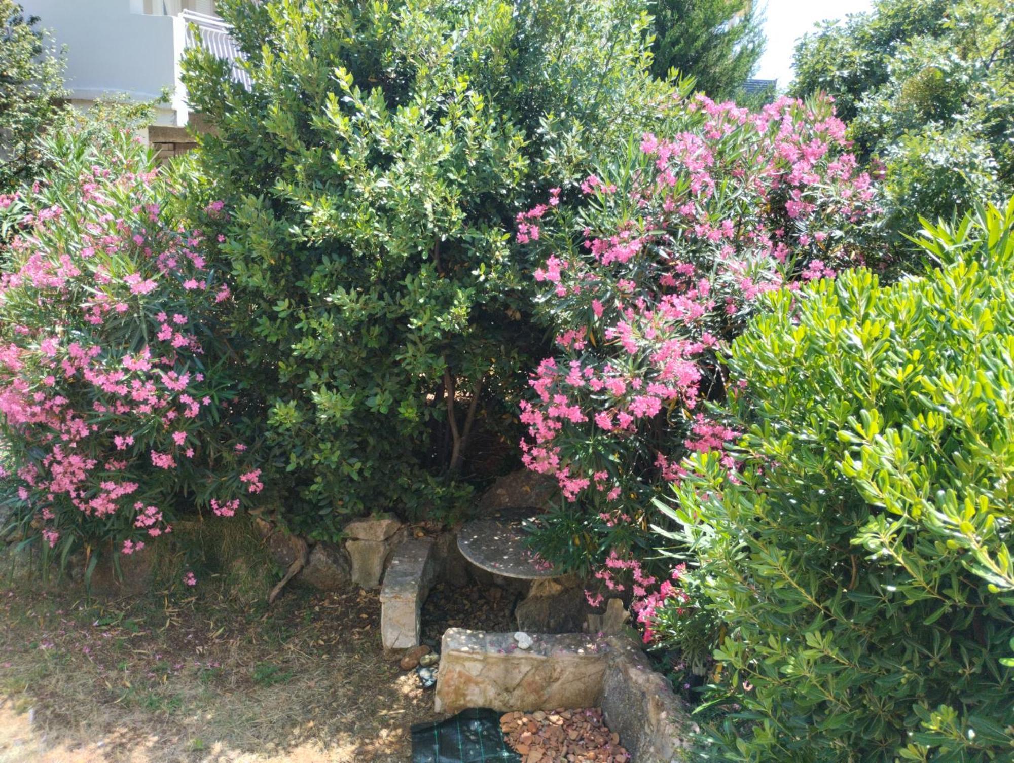 شقة Miran Ivanica المظهر الخارجي الصورة
